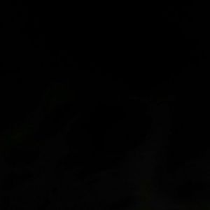 Meet your Posher, Eli